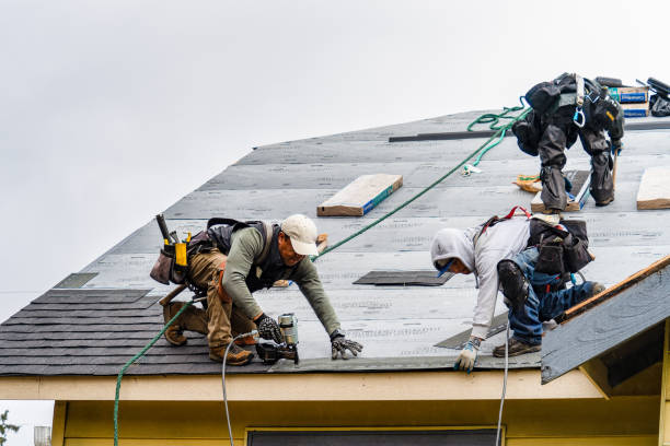 Professional Roofing technician working in Bowersville, GA